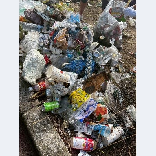 様々な種類の放置されたゴミたち