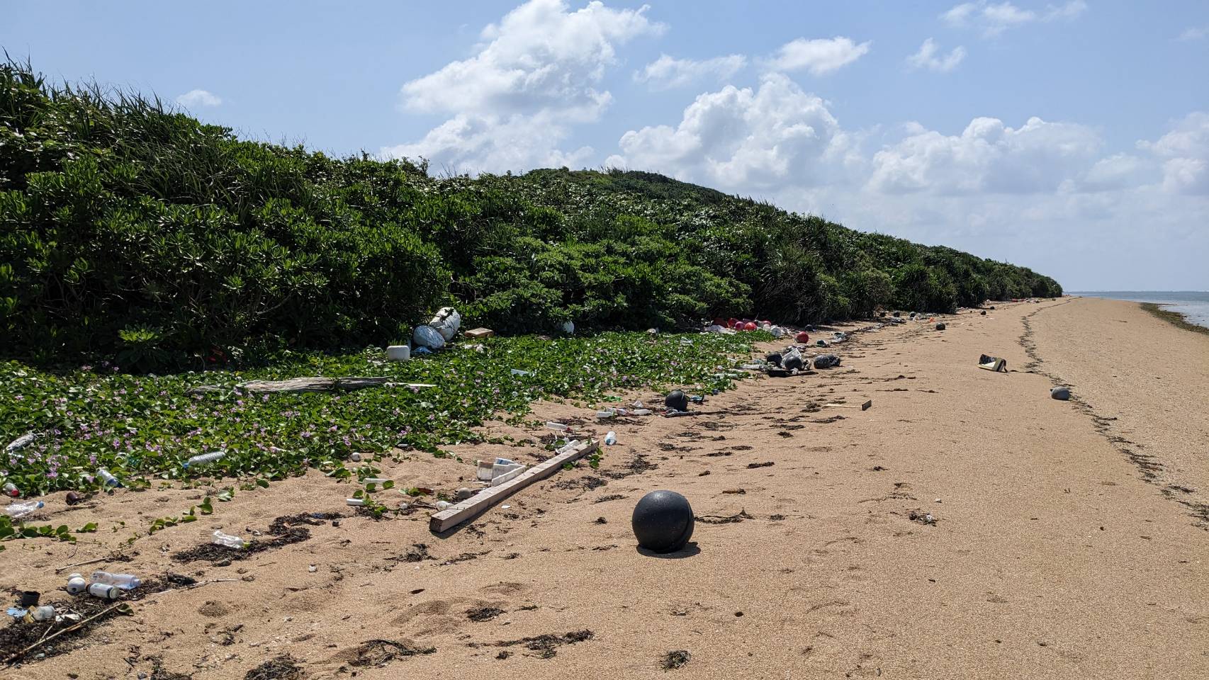 ビーチに散乱した漂着ゴミ問題